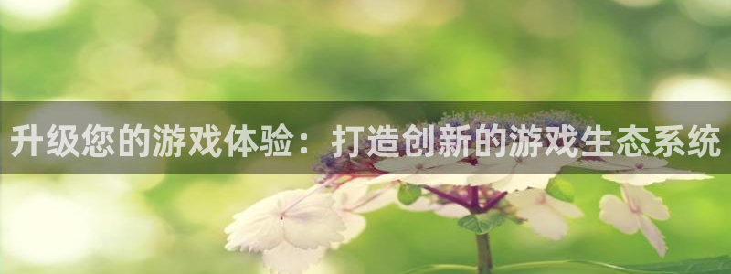 k8凯发网页版：升级您的游戏体验：打造创新的游戏生态系统