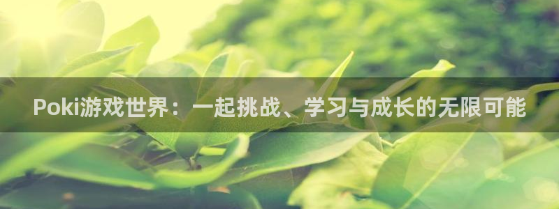 凯发k8官网登录：Poki游戏世界：一起挑战、学习与成长的无