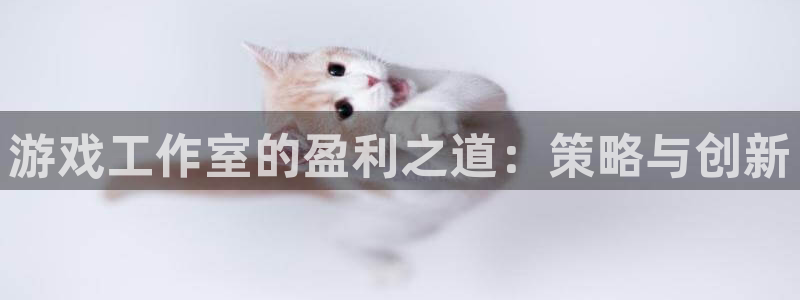 凯发下载地址：游戏工作室的盈利之道：策略与创新