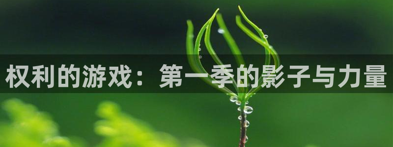 K8凯发包网系统：权利的游戏：第一季的影子与力量