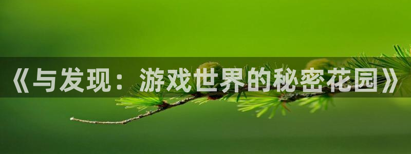 凯发k8一触即发：《与发现：游戏世界的秘密花园》