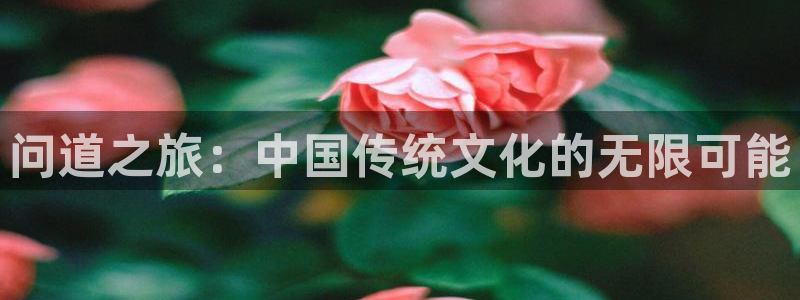 凯发k8官网下载：问道之旅：中国传统文化的无限可能