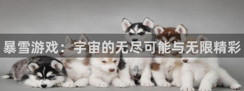 凯发下载地址：暴雪游戏：宇宙的无尽可能与无限精彩