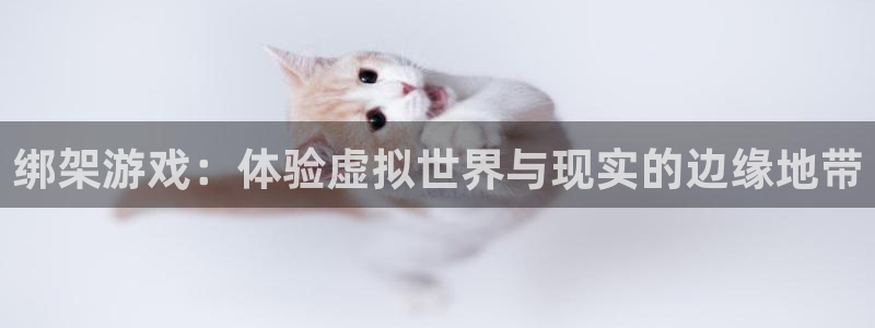 k8凯发·体育(中国)天生赢家：绑架游戏：体验虚拟世界与现实