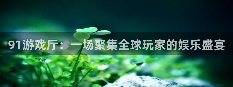 K8凯发天生赢家一触即发人生小说：91游戏厅：一场聚集全球玩