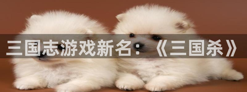 凯发k8官网下载