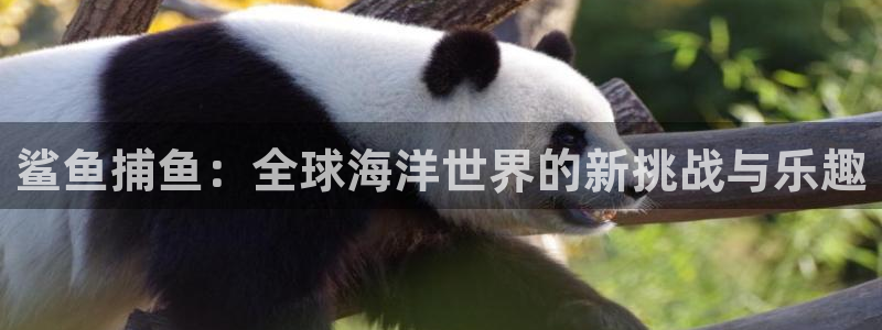 k8凯发ag旗舰：鲨鱼捕鱼：全球海洋世界的新挑战与乐趣