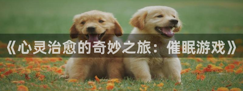 k8凯发官方来就送38：《心灵治愈的奇妙之旅：催眠游戏》