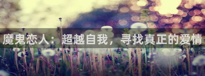 k8凯发网页打不开?